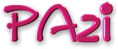 Pa2i | Provence Alpes Internet & Informatique